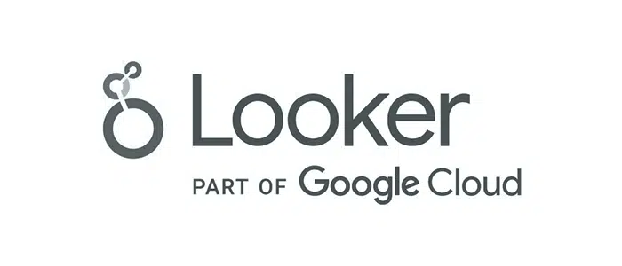 google-looker.png
